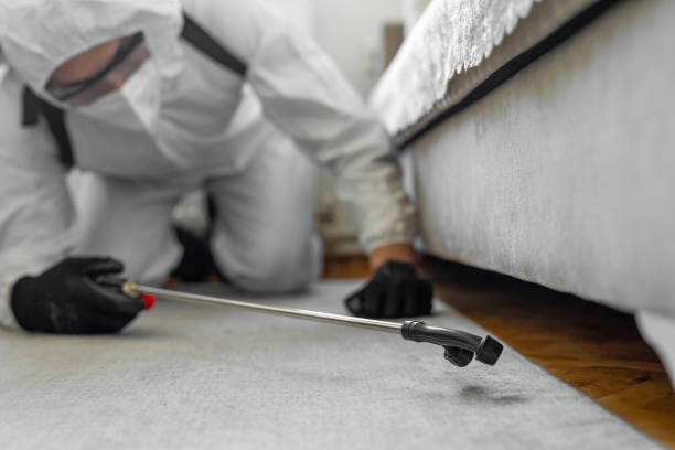 Professional Termite Control technician working in Woodland Heights, PA