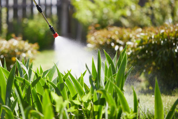 24/7 Emergency Termite Control experts in Woodland Heights, PA