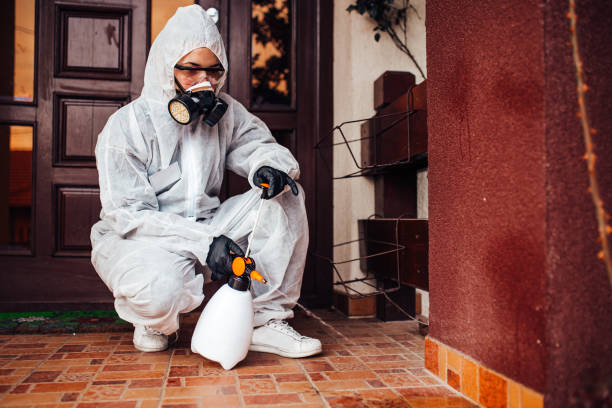 Reliable Termite Control contractor in Woodland Heights, PA by Nex Pest Control